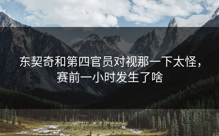 东契奇和第四官员对视那一下太怪,赛前一小时发生了啥 东契奇和第四官员对视那一下太怪,赛前一小时发生了啥